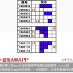 双色球杀号定胆,揭秘精准选号策略与技巧